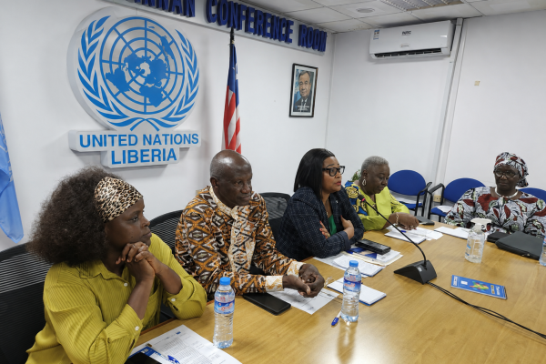 Advancing Inclusive Elections Through the Participation of Women, PWDs, Youth and Observers