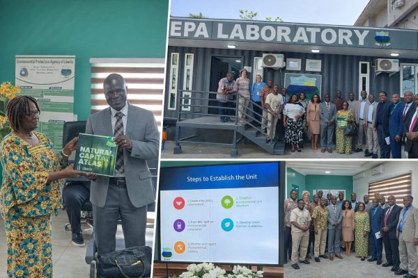 Strengthening Partnerships for Environmentally Friendly Elections
