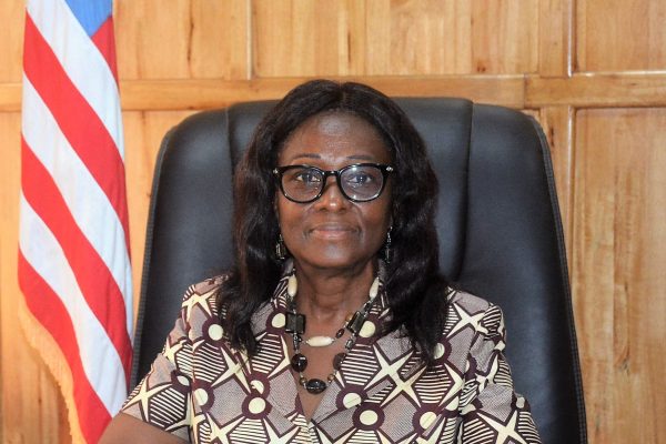 NEC Holds Consultative Assessment Workshop on Website Modernization